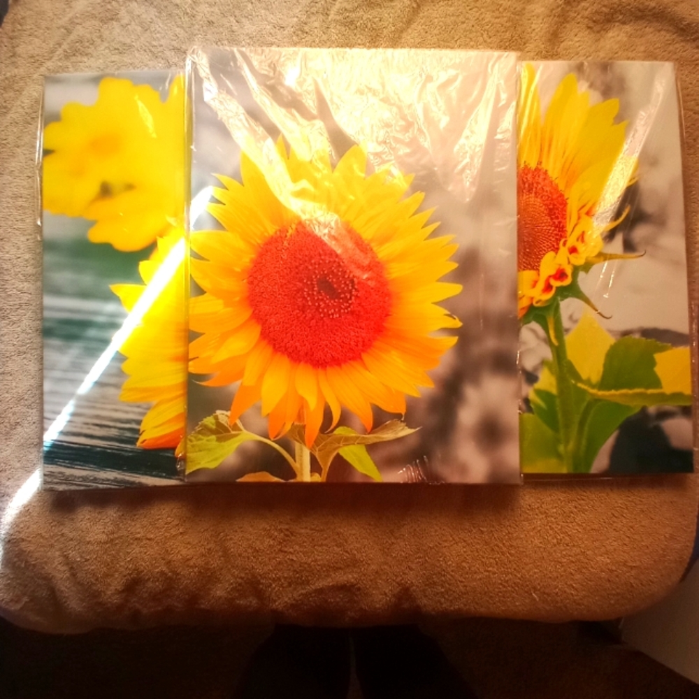 Trio of Sunflower Canvas Paintings